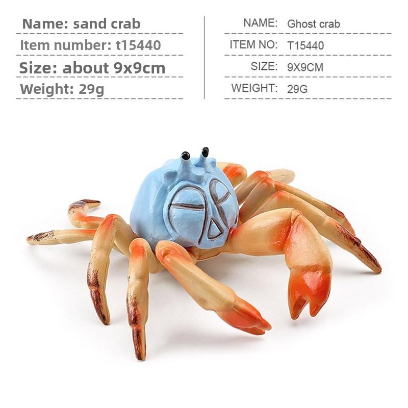 

Realistic Marine Animal Crab Figurine For Kids Learning Aquarium Display Sand Crab