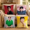 Promi J-Ji Chang Wook KpopS Kissenbezug beidseitig bedruckter Kissenbezug Hypoallergen Milbendicht