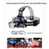 WGP Diverse Collection: Lighting, Grooming & More