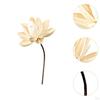 Dried Flower Arrangement In Vase, DIY Centerpiece for Bedroom and Party Settings