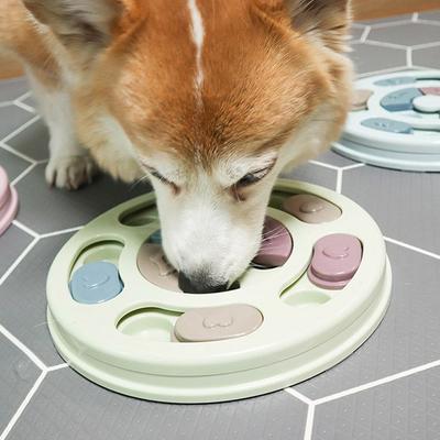 Dingdong Pet Pet Inteligência Desenvolvimento Quebra-cabeça Lanche Brinquedo QI Brinquedo Redondo Diâmetro 23cm x Altura 2,5cm, Menta, 1 Peça