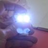 Led Cow Cattle Keychain Sound Flashlight Mini Torch Kids Toy Animal Key Ring