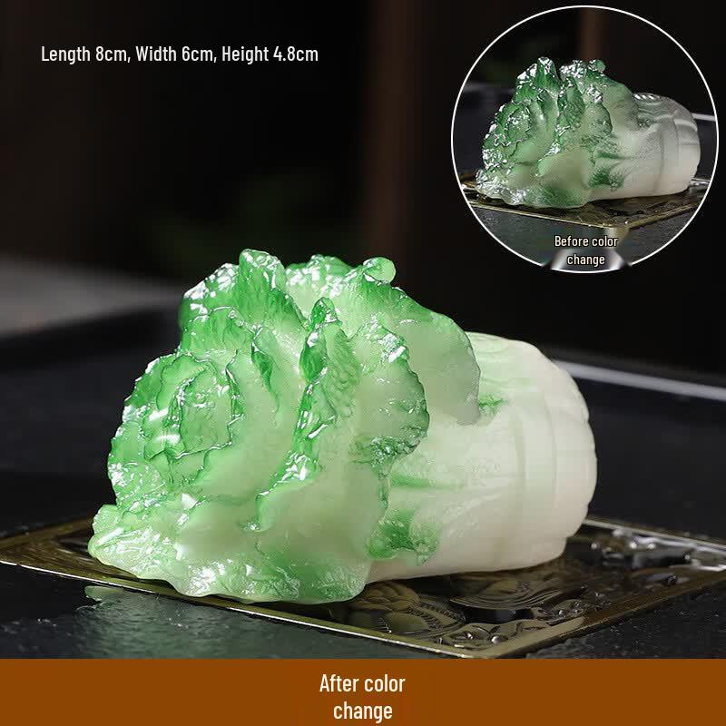 Color-Changing Cabbage Tea Pet