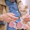 4pcs/set Washing Claw Paw Cover Cat Paws Gloves Silicone Anti-scratch Cat Foot Shoes New Cat Shoes