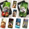 Hedgehog Cute Animal For Samsung Galaxy A53,31,52,72,41,Note,J7,8,9,5G,22,73,32,71, Soft Black Silicone Case