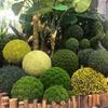 DIY Faux Green Plants Eternal Life Flocking Green Ball Artificial Moss Ball  Hotel Decoration