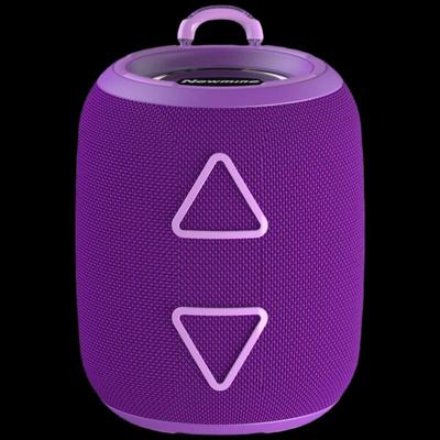 Newmine BT87 Portable Bluetooth Speaker CN Plug (adapter Included)