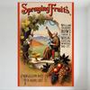 Vintage Spraying Fruits Metal Tin Sign, Early 20th-Century Agricultural Horticulture Poster with Man, Grapes, Apples, Home Decor