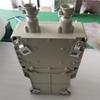 OSZN Explosion-Proof Magnetic Starter