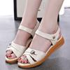 Mom Sandals Women's 2025 New Summer Soft-soled Comfortable Outer Wear Versatile Cool Slippers Foreign Trade Explosion Special Women's Shoes