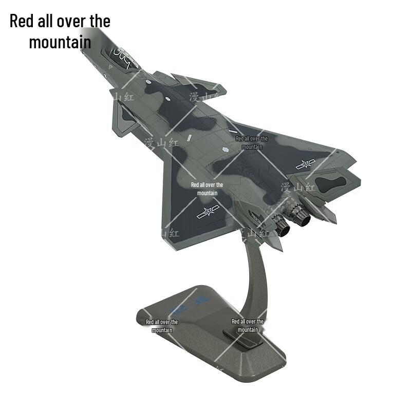 J-20 Fighter Jet Alloy Model (1:100 Scale)
