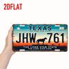 Custom Texas License Plate Tin Sign Horse Cactus Western Rustic Bar Man Cave Decor 5.91x11.81 Inch