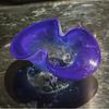 Blue Butterfly-shaped High-sided Fruit Plate Desktop Storage Container Glass Tray Transparent Fruit Bowl Trays Decorative