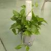 6PCS Interlocking Vine Climbing Column Plastic Plants Growth Stand Vine Fixed Support Frame  Garden
