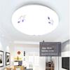 30cm Round LED Ceiling Light for Corridors, Bedrooms, Living Rooms, and Rental Spaces