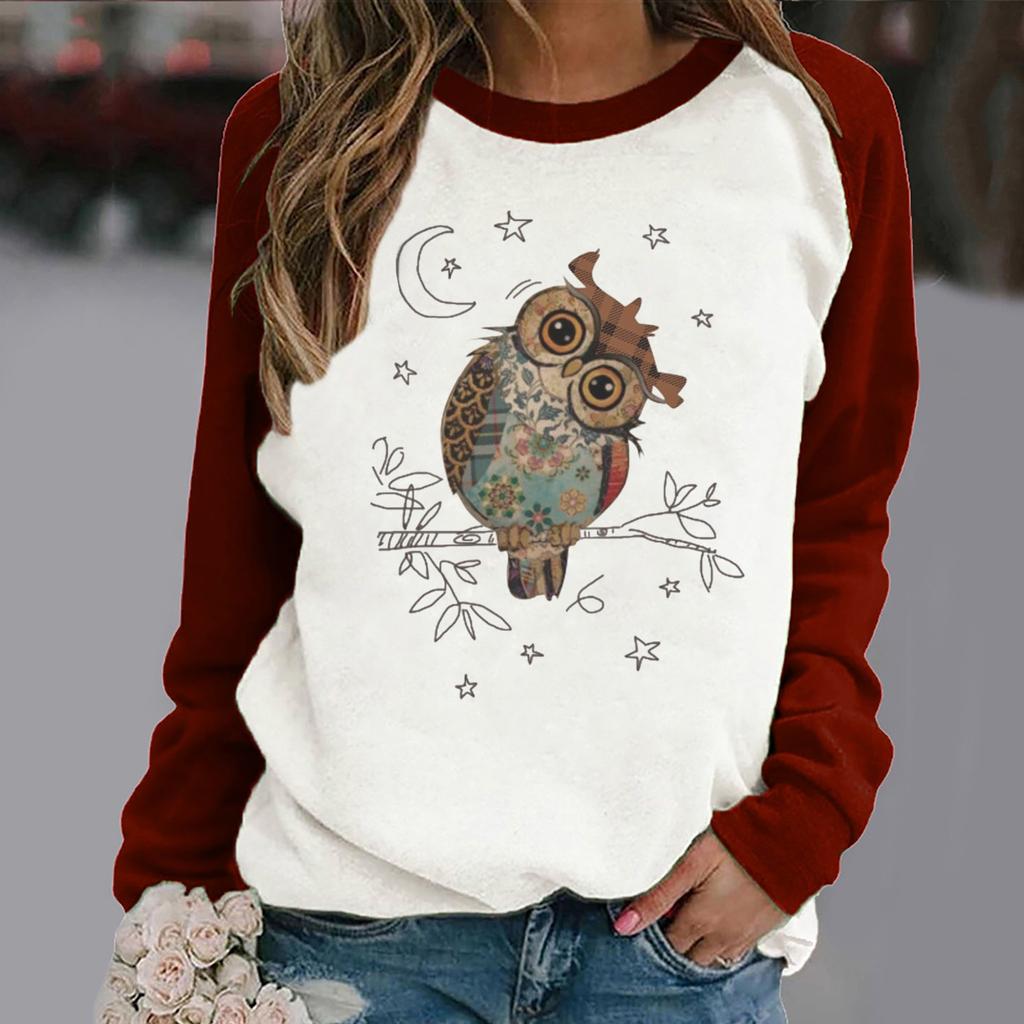 Women's Casual  Solid Color Long Sleeve Top Pullover Sweatshir
