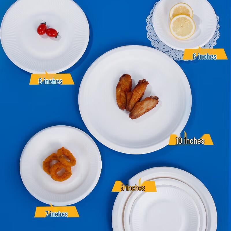 Biodegradable Disposable Round Paper Plates