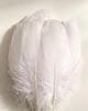 Large Soft Goose Feathers 14-18cm for DIY Dreamcatchers, Flowers & Crafts