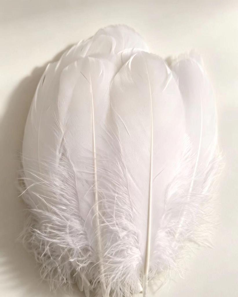 Large Soft Goose Feathers 14-18cm for DIY Dreamcatchers, Flowers & Crafts