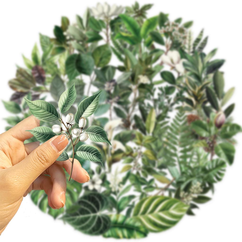 Stickers - 50 Sheets, Botanical Plant Decals for Scrapbooking, Journaling and DIY Crafts