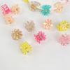 Hair Accessories Mini Hair Claw Hair Clip Flower Mini Hair Claw Elegant Star Hair Crab Clip  Girls