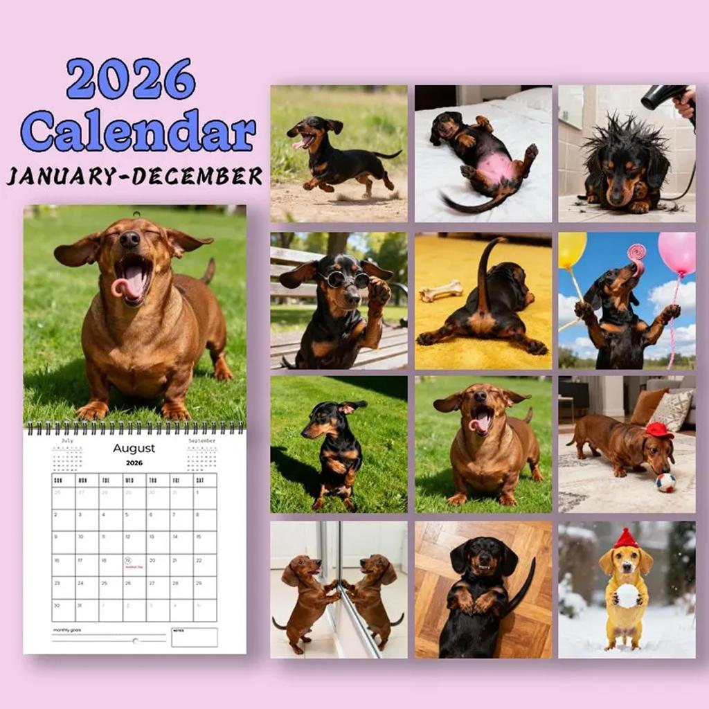2026 Wall Calendar, Fun Themed Calendar, Fun Chat Gift, Perfect Choice For Home Use.