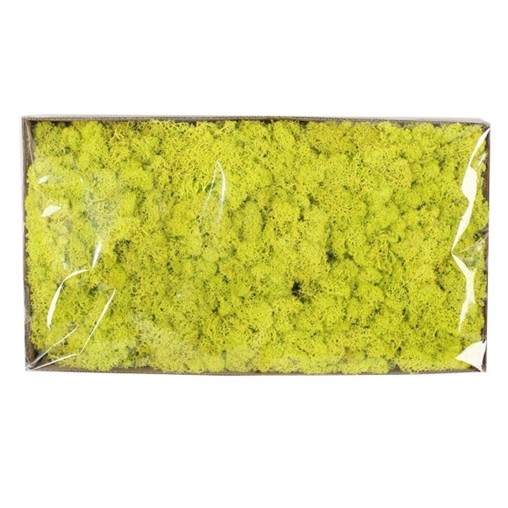 

Вічний мох штучний мох рослина стіна ландшафт домашній декоративний мох багатобарвний матеріал ручної роботи сушені квіти 50g жовтий