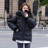 Down cotton-padded clothes New large fur collar cotton-padded jacket Women's loose bread clothing Thickened jacket Short cotton-padded clothes