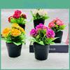Realistic Bonsai Rose Room Decoration For Store Window Display And Events