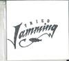 CD FRIED JAMMING FISH  Holiday Season 2014 FJFR00002 NOT  ON LABEL 2014 Japan Reggae Ska  Dub Used
