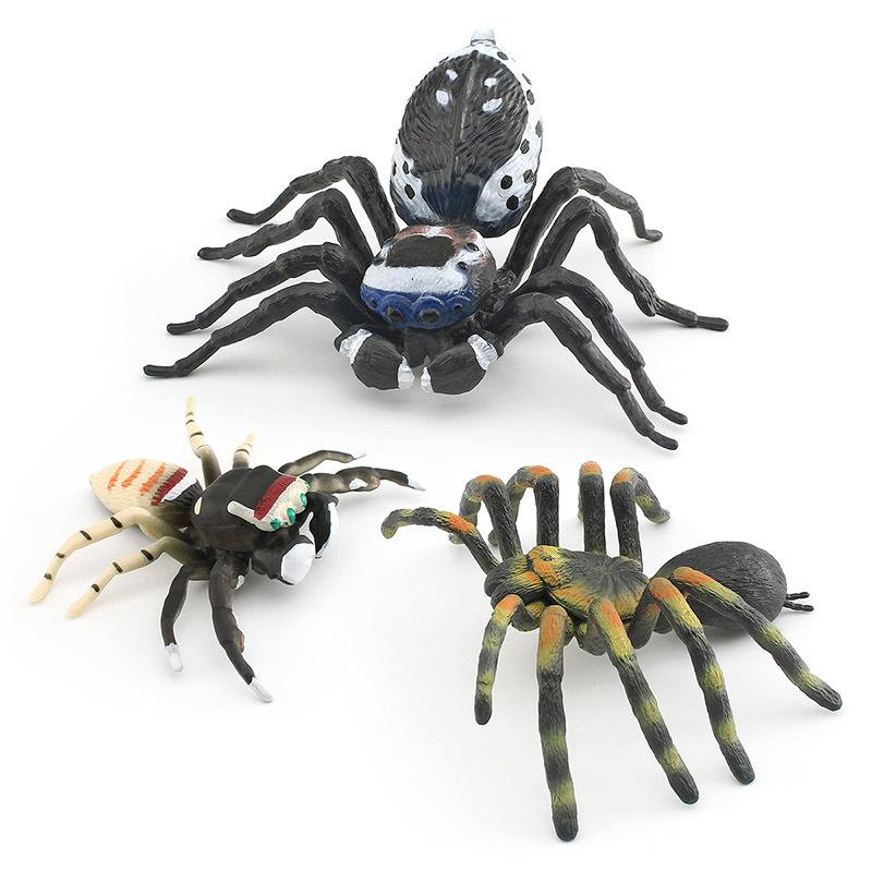 Export Simulation Insect Animal Model Red And Blue Peacock Spider Striped Fly Spider Static Cognitive Ornament Toy