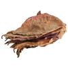 Fish Cleaning Acid Effect Fish Treatment Terminalia Leaves Aquarium Tank Decor Terminalia Leaves