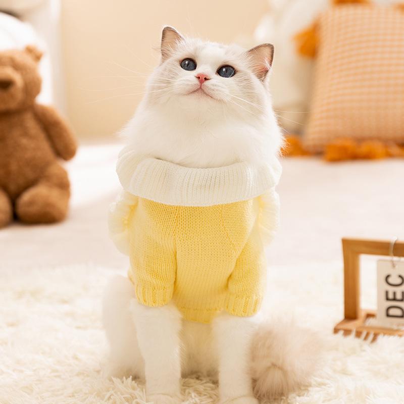 Autumn and winter hairless cat into kitten thickened warm cute princess skirt dog teddy than bear cat pet clothes