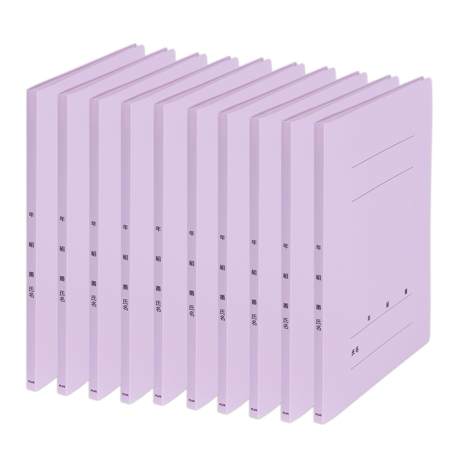 Plus Pocket Year Class Name Clear 20 10 x 10 File, File, FF, Pockets, Files, Violet, FC-122GA, 84-895 фиолетовый