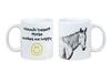 Namib Desert Horse – Cup with a Horse, a Cheerful Cup for a Dog Lover |