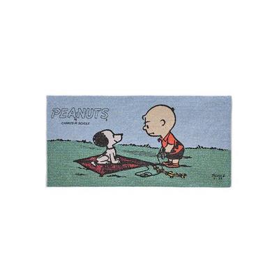 PEANUTS Snoopy Beş Renkli Dokuma Banyo Havlusu (1950'ler) Japonya YENİ