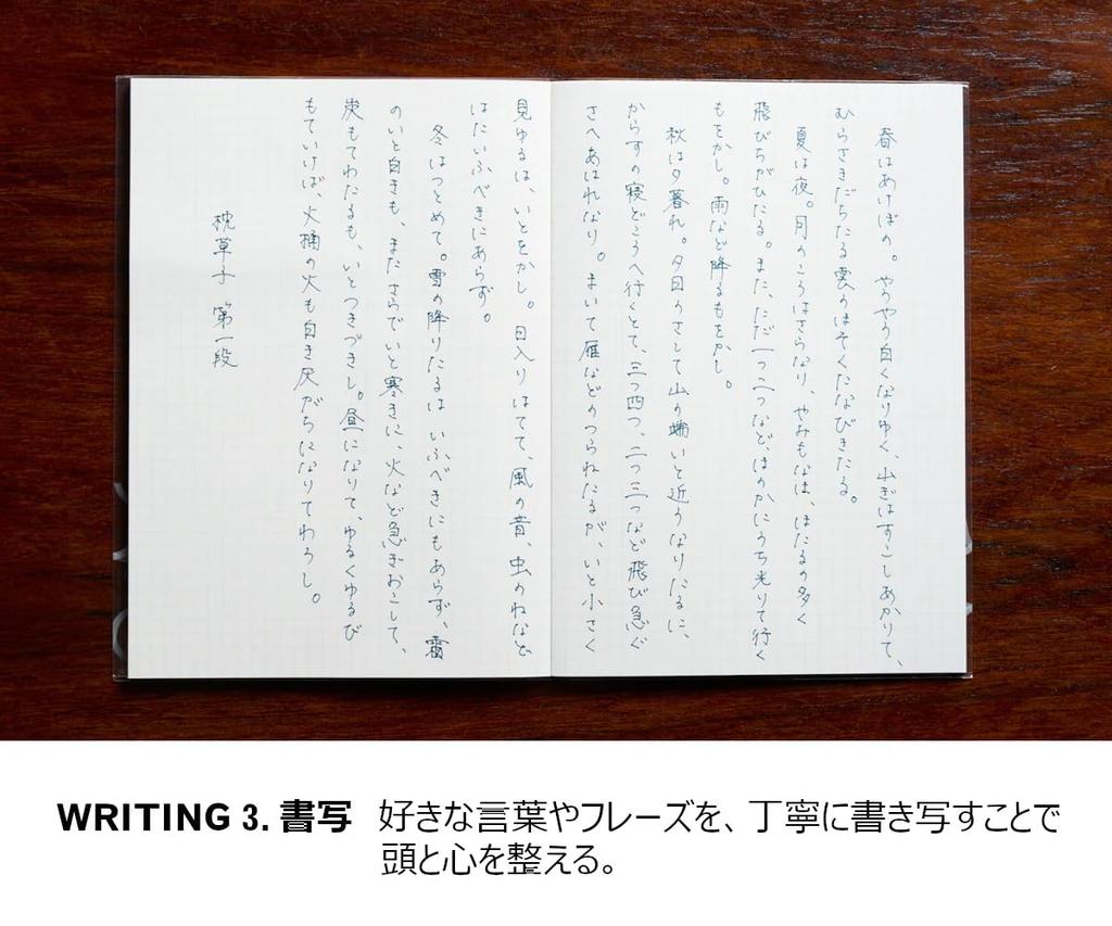 KOKUYO WP Series Pen (Finewriter WP-F100, Silver)