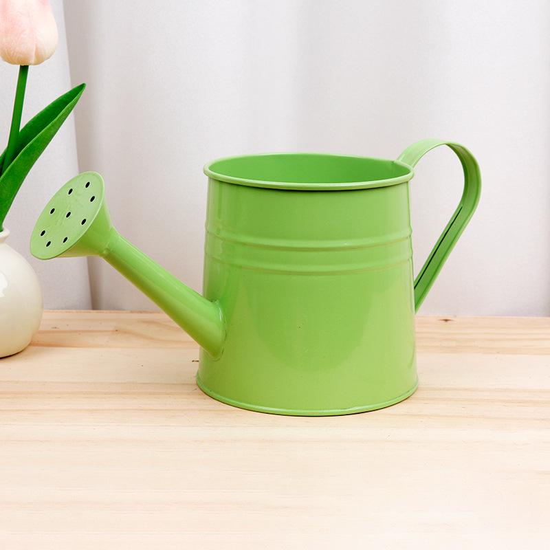Creative Green Watering Can for Plants and Succulents - Decorative Spray Bottle for Gardening and Flower Arranging