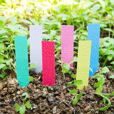 100 szt. Plastikowe Wodoodporne Etykiety Kwiatowe w Kształcie Litery T, Wkładki do Etykietowania Roślin Sukulentów i Storczyków, Wkładki do Znakowania Roślin Ogrodniczych