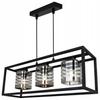 HANGING LAMP CAGE ELEGANT GLASS SHADE