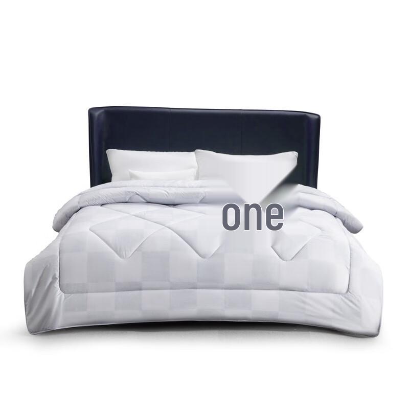 

Mercury Home Textiles Antibacterial Wool Quilt