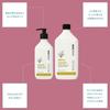 ecostore Hand Wash Pump [Lemon Grass] 425mL Hand Soap Liquid Soap Plant-derived Skin-friendly