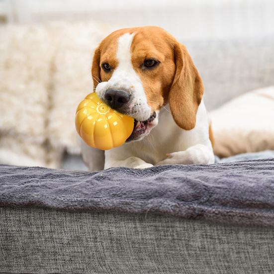 Squeaky Pumpkin Dog Toy Interactive Dog Chew Toy Teeth Cleaning Toy for Aggressive Chewers Puppy Teething