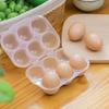 Eggs Holder 6 Eggs Storage Container with Fixed Handle Plastic Eggs Storage Box Outdoor Camping Eggs Carriers