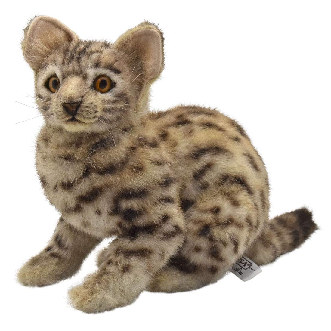 

BH7844 HANSA Bengal Wildcat 35