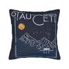 Project Tau Ceti Pillow Case Cute Funny Pillow Cover Soft Pillowcases For Living Room Bed Chair