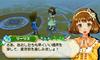 Story of Trio of Towns Guidebook Pack 3DS Seasons -