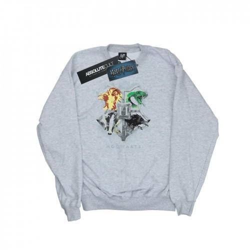 Harry Potter Mens Hogwarts Painted Crest Sweatshirt