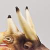 BH7764 HANSA Triceratops Scream 43 Hand Puppet