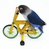 Parrot Bicycle Toy: Interactive Training Tool for Small Birds